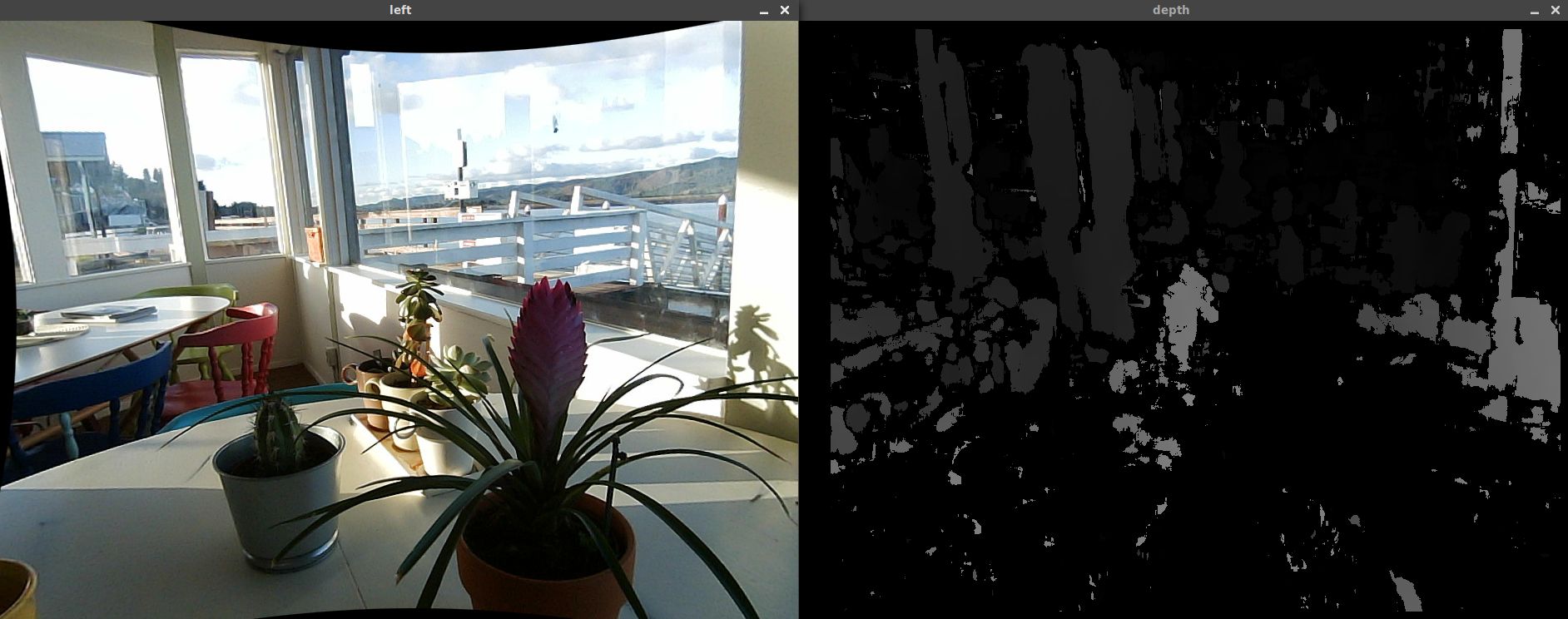 Potted plants and a noisy depth map