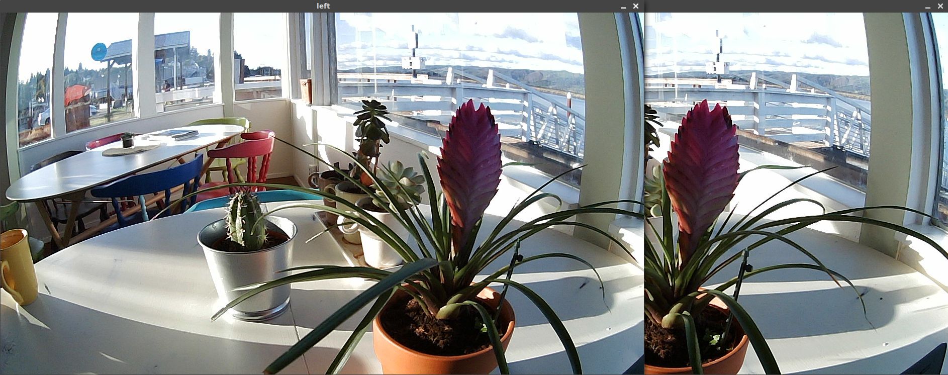 Full-resolution stereo view of potted plants