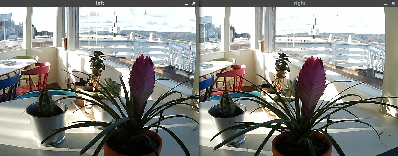 Small stereo view of potted plants